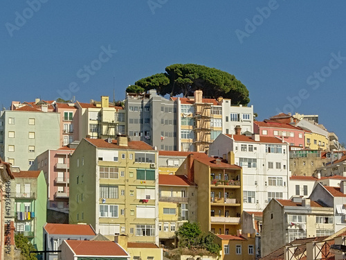 Typical apartment building in pastel colors on a big hill with viewpoint with iconic trees in Lisbon, Portugal photo