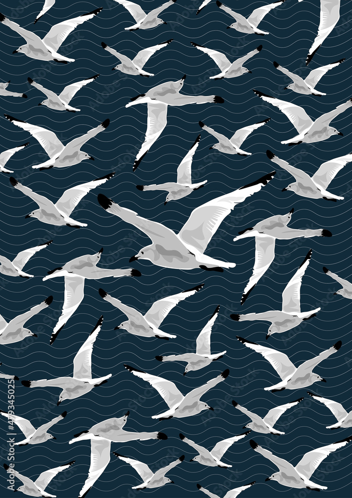 Gull Gull