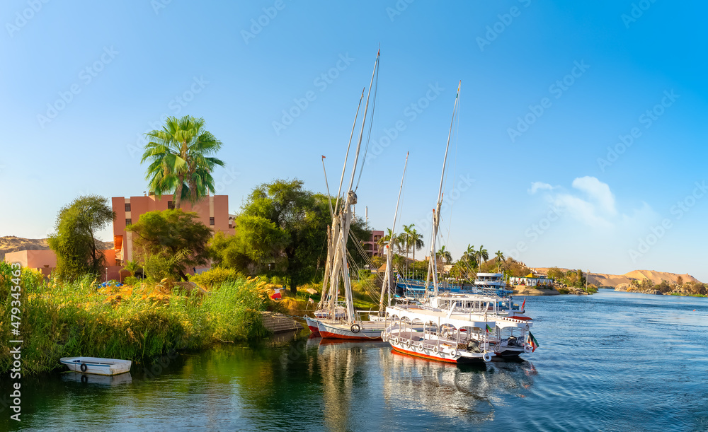 Nile coastline and boats
