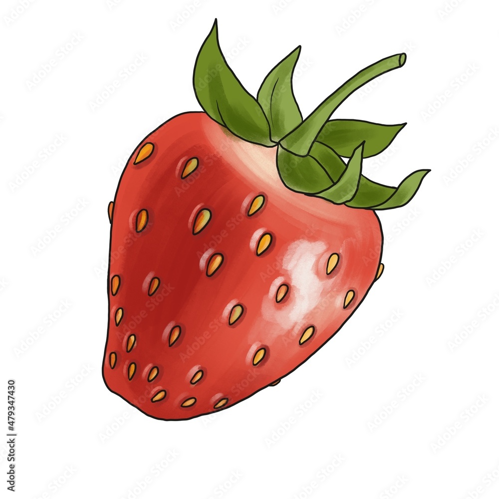Obraz premium drawing red berry of strawberry , hand drawn illustration