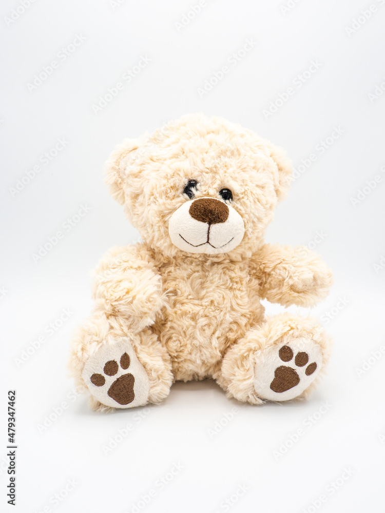 Teddy bear - children soft toy on white background