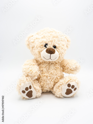 Teddy bear - children soft toy on white background