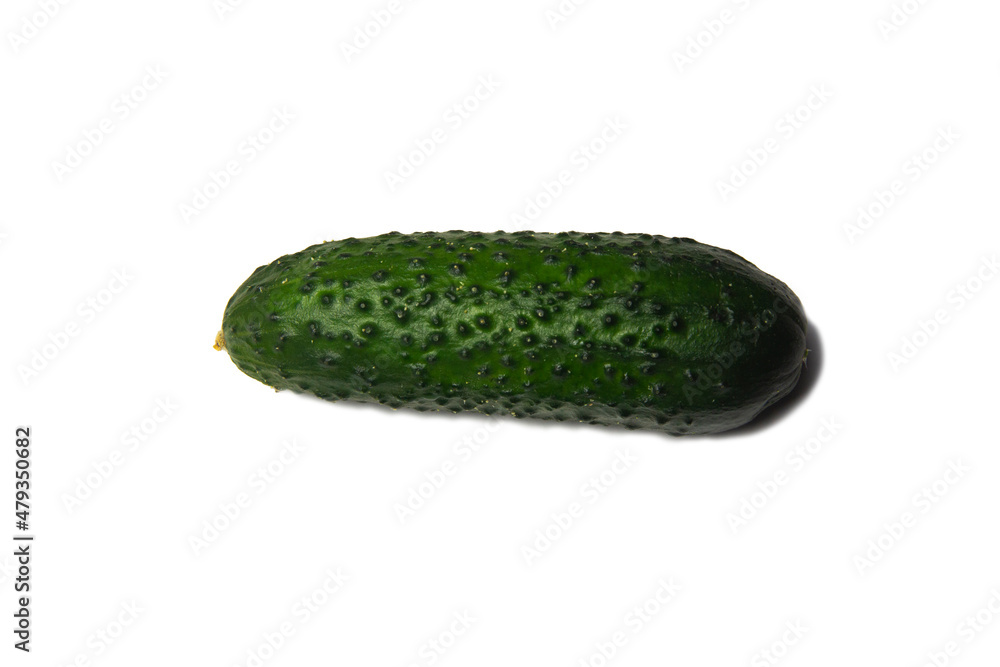 Isolated green cucumber on white background Isolated green cucumber on white background