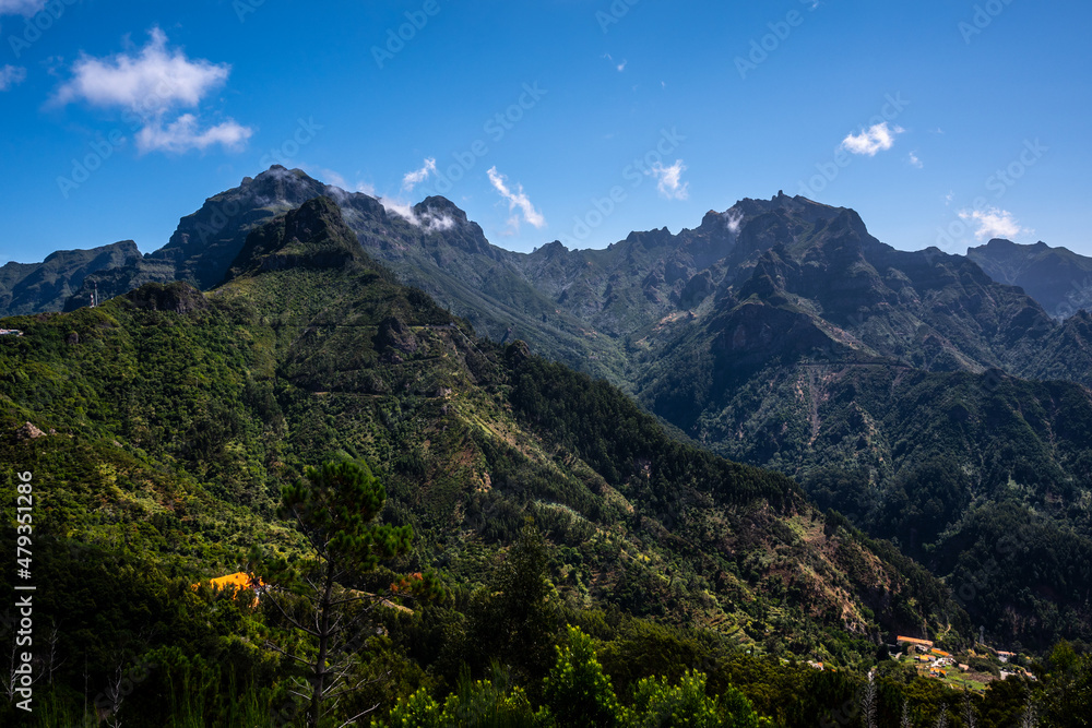 Fototapeta premium Madeira - Levada da Norte