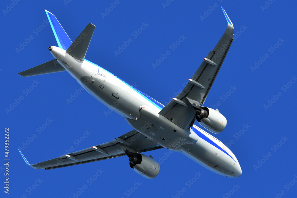 Obraz premium 飛行中の旅客機
