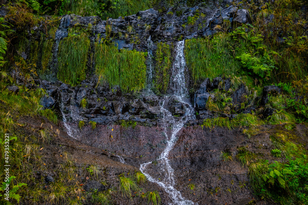 Obraz premium Madeira - Levada da Norte