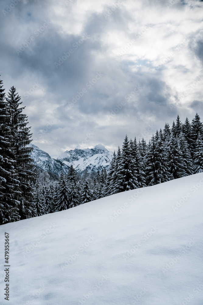 Fototapeta premium snowy mountain forest