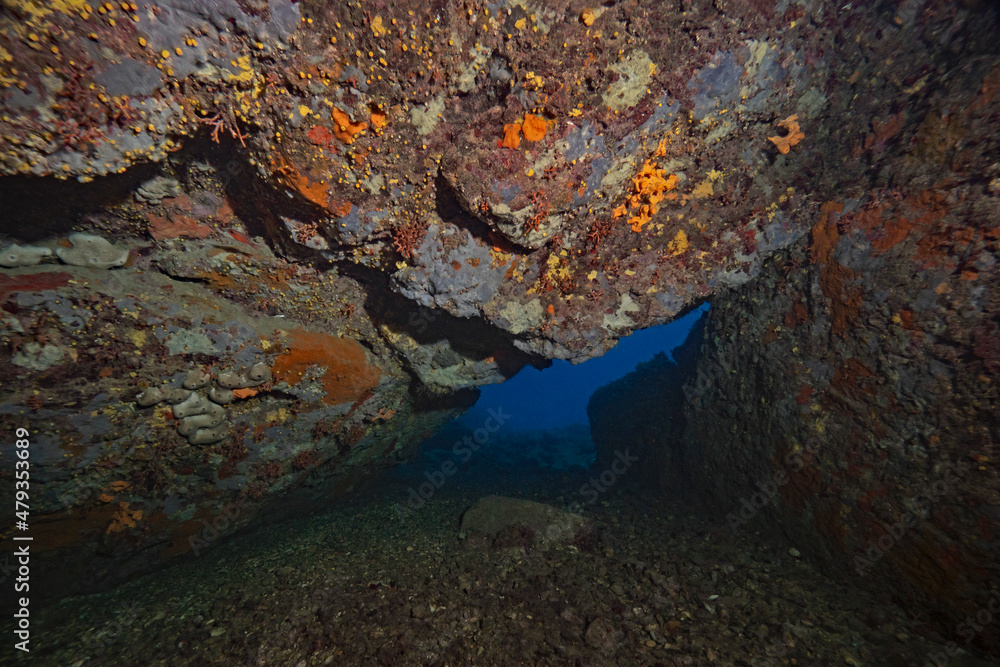 colorfully overgrown rock opening under water