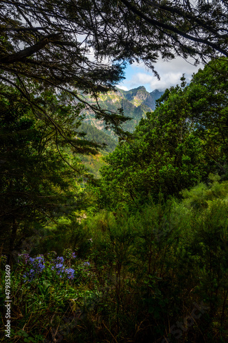 Madeira - Levada da Norte