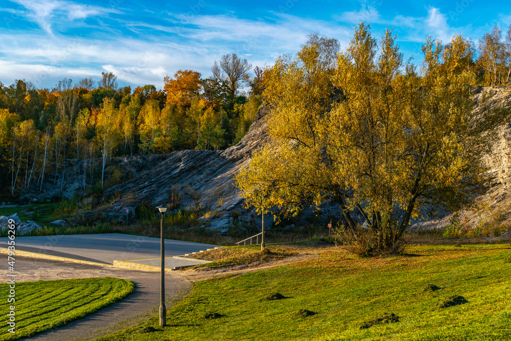 Naklejka premium Szlakowisko