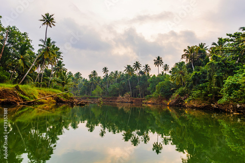 Lush greenery with Palm trees or Coconut trees and Backwater A Shot from Kanyakumari District, Tamil Nadu, India. photo