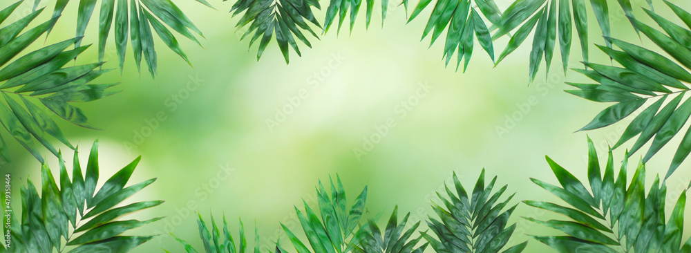 Summer green abstract banner tropical palm leaves.