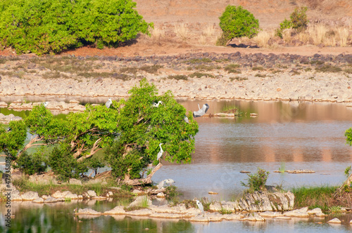 Beautiful Panna river and rocky riverbed at Panna National Park, Madhya Pradesh, India. It is located in Panna and Chhatarpur districts of Madhya Pradesh in India. A tiger reserve. photo