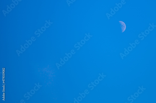 Winter and moon