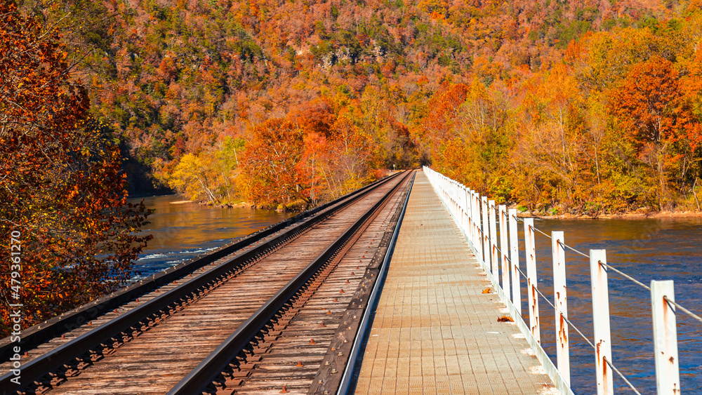 Railroad tracks leading to who knows where. Railroad tracks leading to who knows where.