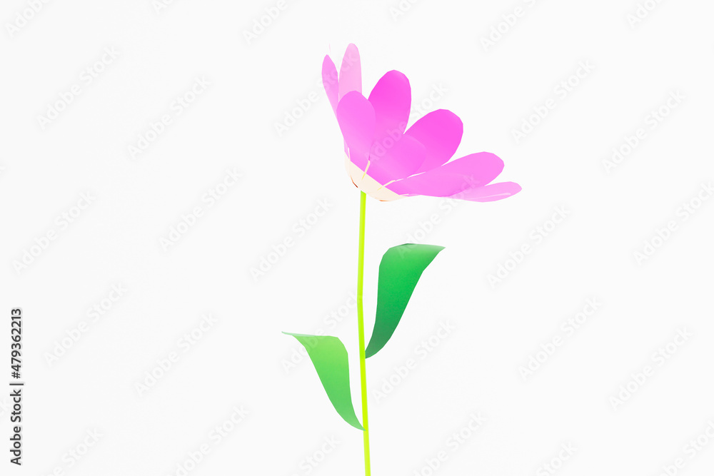 Cartoon flower stylized pink chamomile icon isolated 3d render 3d illustration Cartoon flower stylized pink chamomile icon isolated 3d render 3d illustration