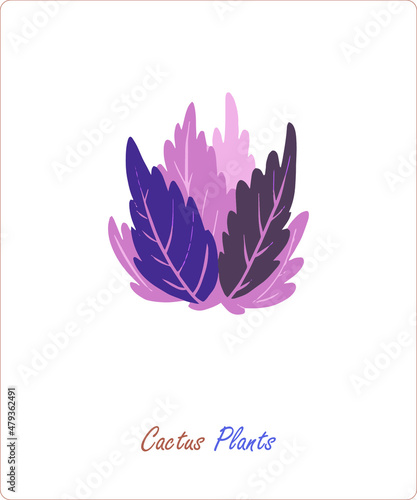 Cactus plants on a white background. Vector. A flat picture in delicate shades. Elements for the design and printing of wallpapers  sketches  patterns and textiles.