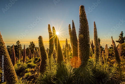 Sunset between Tajinastes in Caldera De Taburiente Nature Park  La Palma Island  Canary Islands  Spain