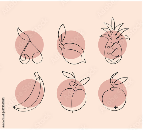 Fruits one continuous line drawing art illustration. Single line drawing of fruit. Minimalistic sketch for logo, posters, wall art, healthy concept
