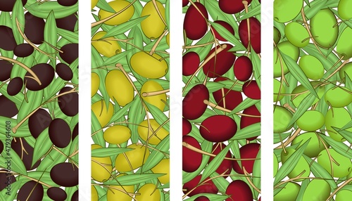 Colored olives, leaves and branches. Sample. Close-up. Multi-colored background image. Vector illustration.