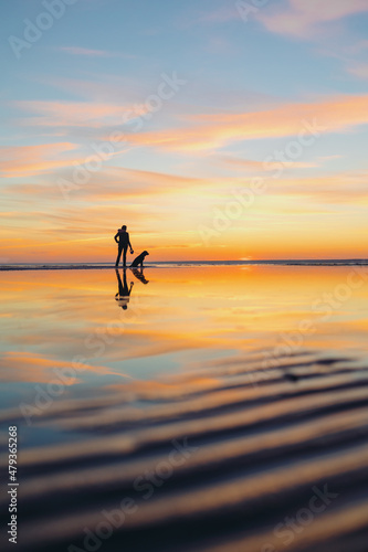 the silhouette of a man against the background of a sunset on a lake or sea. a woman or a man on the background of the setting sun walks and plays with his dog in nature  the friendship of man and dog