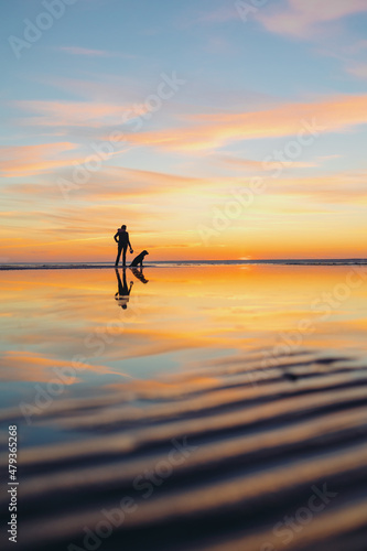 the silhouette of a man against the background of a sunset on a lake or sea. a woman or a man on the background of the setting sun walks and plays with his dog in nature, the friendship of man and dog