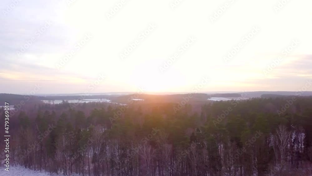 Forest in winter at sunny sunset. 4k aerial video. Forest in winter at sunny sunset. 4k aerial video.