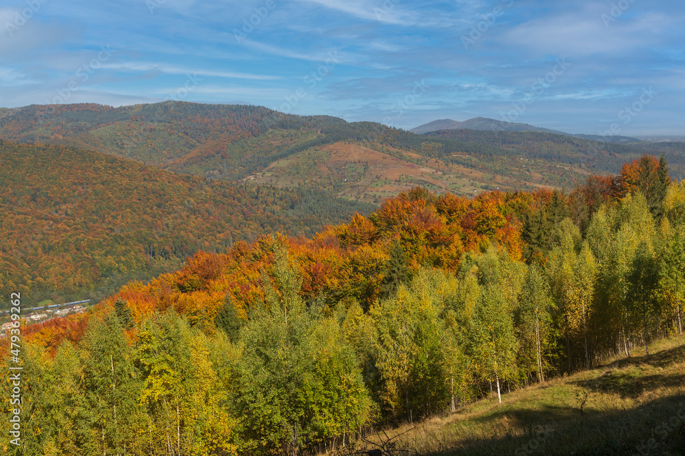 Colorful autumn in the Carpathian mountains.
