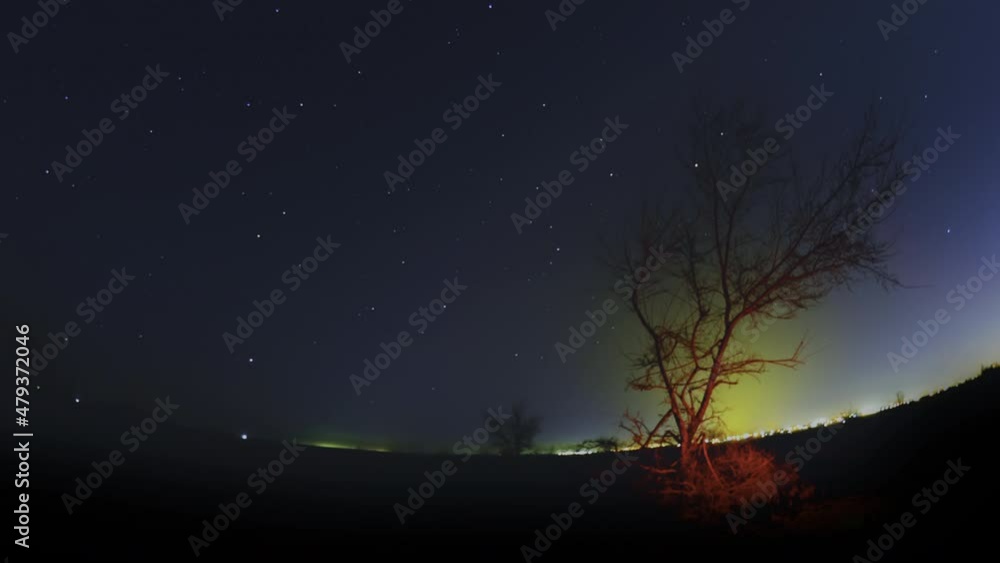 Tree among the stars. Night shoot with tree at first place and moving stars at background. Tree among the stars. Night shoot with tree at first place and moving stars at background.