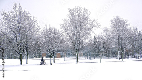 Photography Tranquility scene of footpath with tree-lined in heavy snowfall, winter scenery