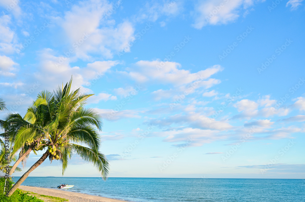 Tropical palm tree with sun light on blue sky. Summer vacation and nature travel adventure concept. Coconut trees .