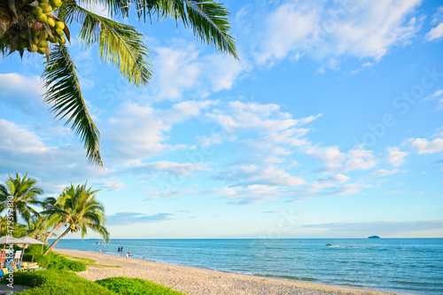 Tropical palm tree with sun light on blue sky. Summer vacation and nature travel adventure concept. Coconut trees .