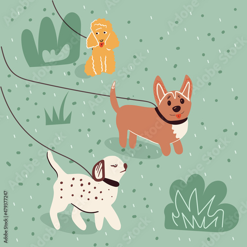 walking with a dog. Vector illustration for service of pet sitter, walker, vet clinic, pet care, hospital, dog shelter. Design template for poster, booklet, banner, flyer, web, advertisement