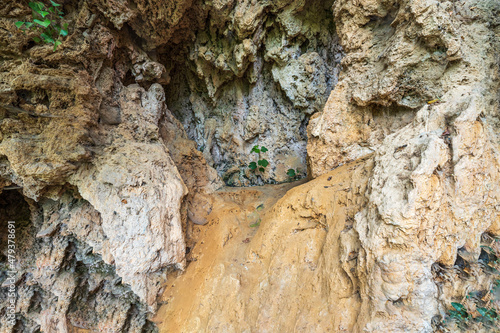 Beautiful view of green plants on rocky cliff. Natural beauty backgrounds. Greece. 