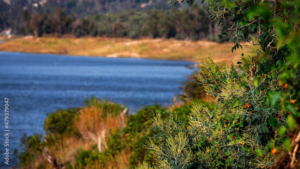 Lake in the middle of forest Lake in the middle of forest