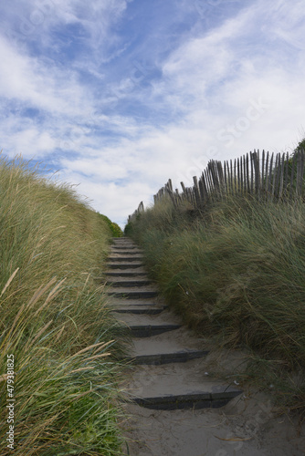 Fototapeta Naklejka Na Ścianę i Meble -  Dunes on the Belgian coast