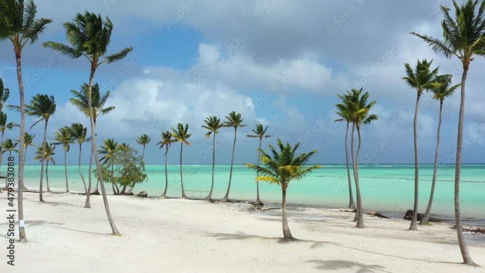Juanillo beach with palm trees, white sand and turquoise caribbean sea water. Cap Cana is a tourist area in Dominican Republic. Aerial view