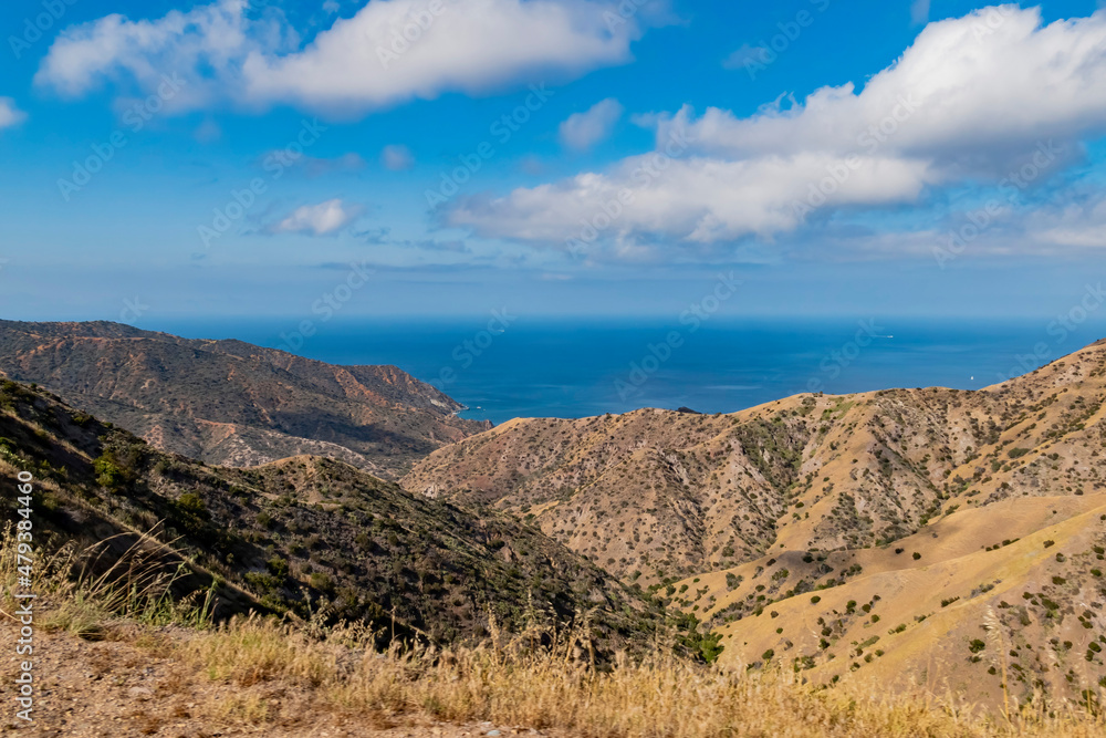 Mountain landscape of Catalina Island Mountain landscape of Catalina Island