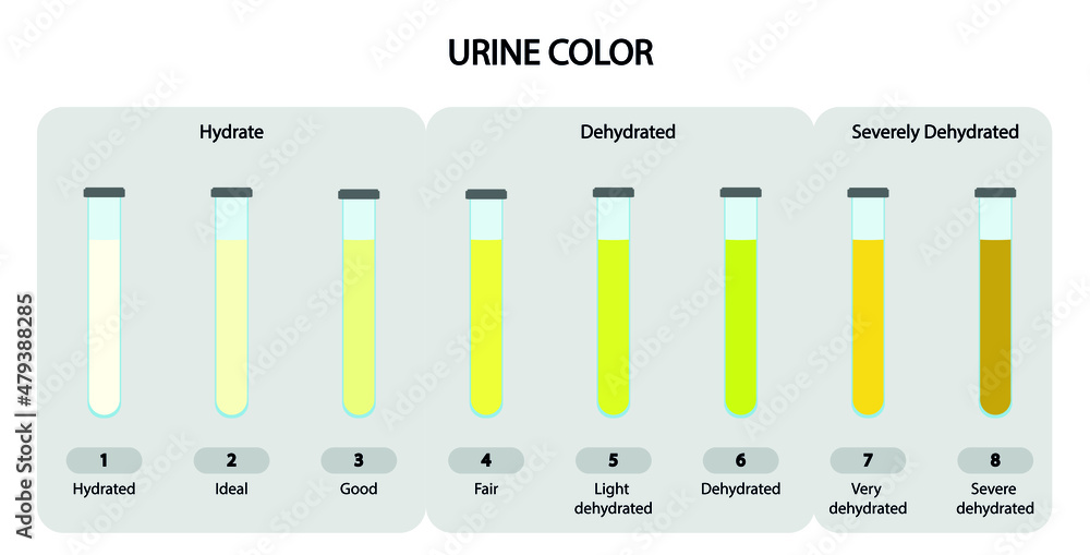 Urine Color scale chart. Scale to analyse the hydration of a patient based in the urine color