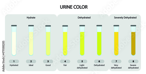 Urine Color scale chart. Scale to analyse the hydration of a patient based in the urine color.