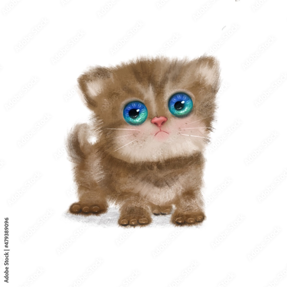 Obraz premium Kitten with blue eyes stands on the floor