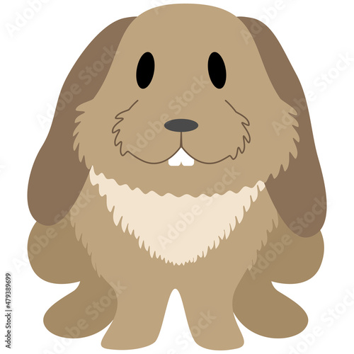 Hase - Häschen