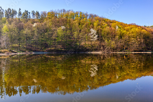 Autumn lake in Tryavna, Bulgaria
