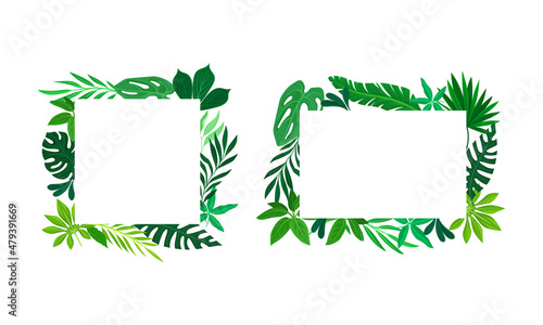 Shaped Frame with Green Leaves and Tropical Foliage Vector Set