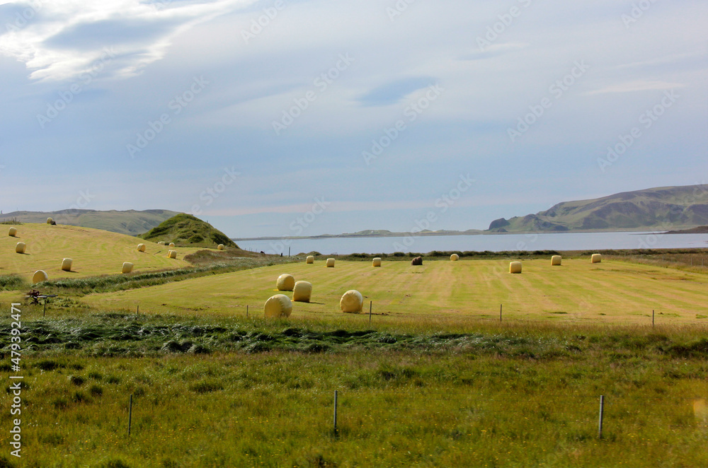 Obraz premium la moisson est terminée