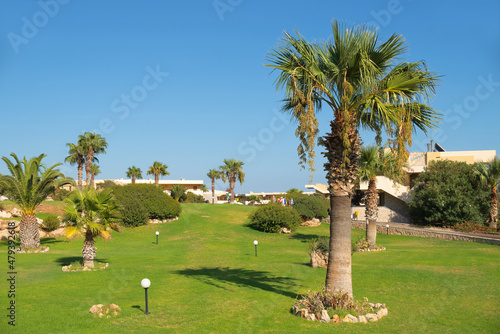 Palm trees in the garden in coastal resort