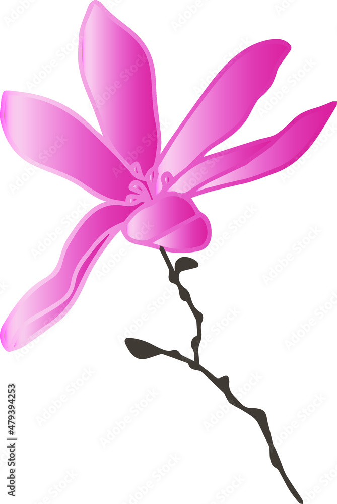 Naklejka premium vector patterns of magnolia flowers with branches and leaves. Botanical illustration for wallpaper, textile, fabric, clothing, paper, postcards