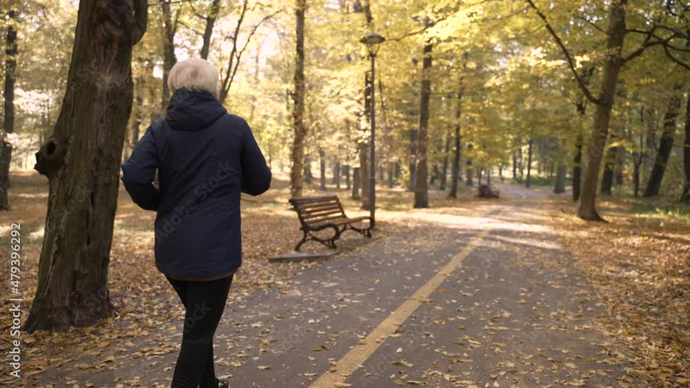 Back view of fit aged woman with white hair running along sunlit park alley on beautiful autumn day. Sporty senior gray-haired female jogger enjoying cardio workout in autumn forest park Back view of fit aged woman with white hair running along sunlit park alley on beautiful autumn day. Sporty senior gray-haired female jogger enjoying cardio workout in autumn forest park