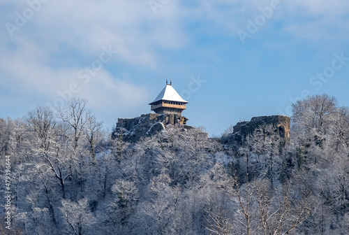 Nevitsky castle in winter. Uzhgorod  Ukraine.