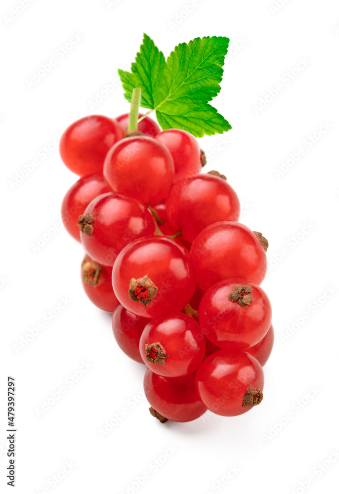 Bunch of red currants with leaf isolated on a white background. Clipping path.